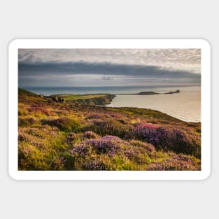 Worms Head and Rhossili Bay from Rhossili Down, Gower, Wales Sticker